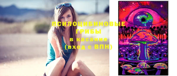 не бодяженный Каменногорск