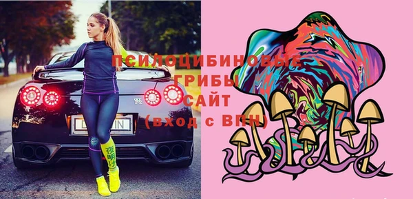 твердый Каменка
