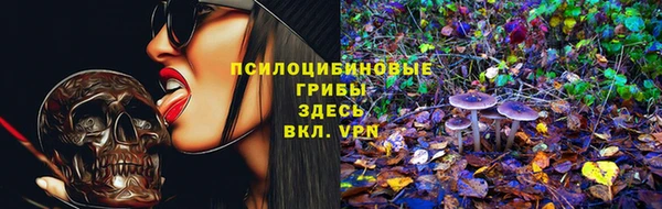 твердый Каменка