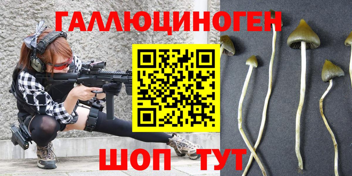 Галлюциногенные грибы прущие грибы Люберцы