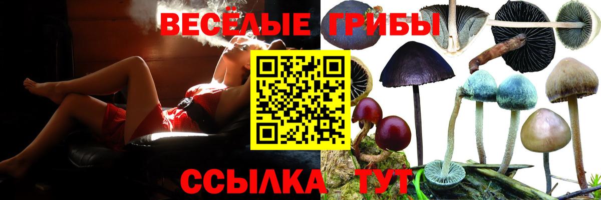 Псилоцибиновые грибы мухоморы Люберцы